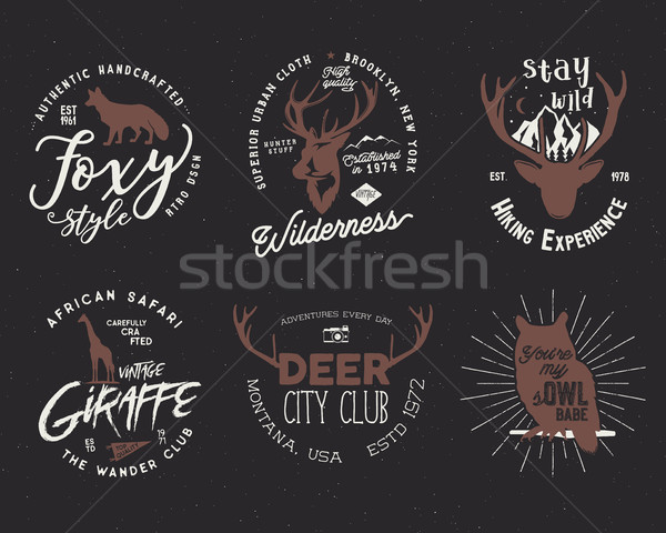Wild animal badges set. Included giraffe, owl, fox and deer shapes. Stock isolated on dark backgroun Stock photo © JeksonGraphics