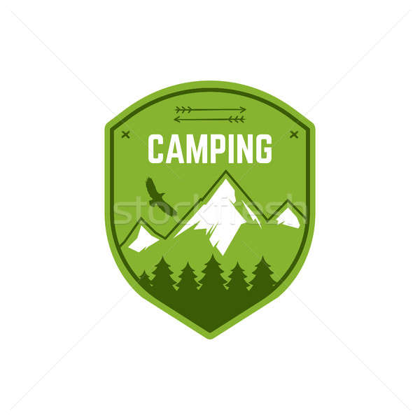 Camping label vintage berg winter kamp Stockfoto © JeksonGraphics
