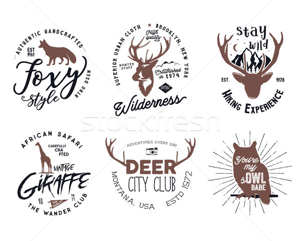 Wild animal badges set. Included giraffe, owl, fox and deer shapes. Stock isolated on white backgrou Stock photo © JeksonGraphics