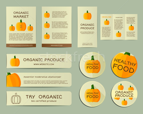 Organic business corporate identity design with pumpkin. Branding your organic company. Brochure. Mo Stock photo © JeksonGraphics