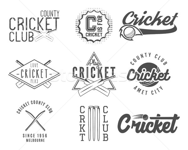 Foto stock: Establecer · cricket · equipo · emblema · diseno · elementos