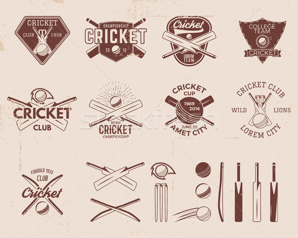 Set of retro cricket sports template logo designs. Use as icons, badges, label, emblems or print. Ve Stock photo © JeksonGraphics