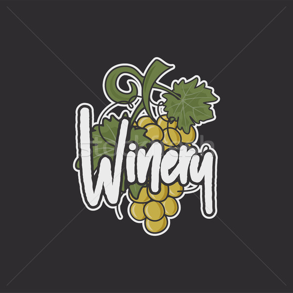 Wine, winery logo template. Drink, alcoholic graffiti art, beverage symbol. Vine icon and typography Stock photo © JeksonGraphics