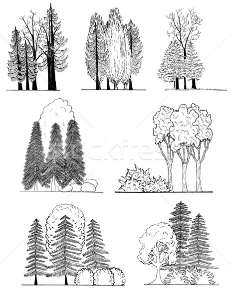 Set Baum Silhouetten architektonisch Gartengestaltung Holz Stock foto © jelen80