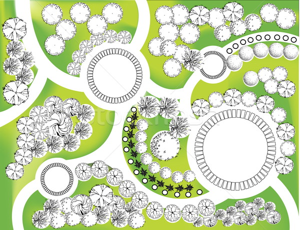 Plan of garden Stock photo © jelen80