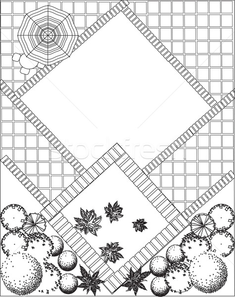 Plan of garden black and white Stock photo © jelen80
