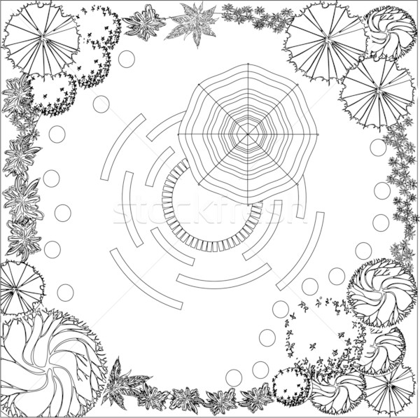 Plan of garden black and white Stock photo © jelen80