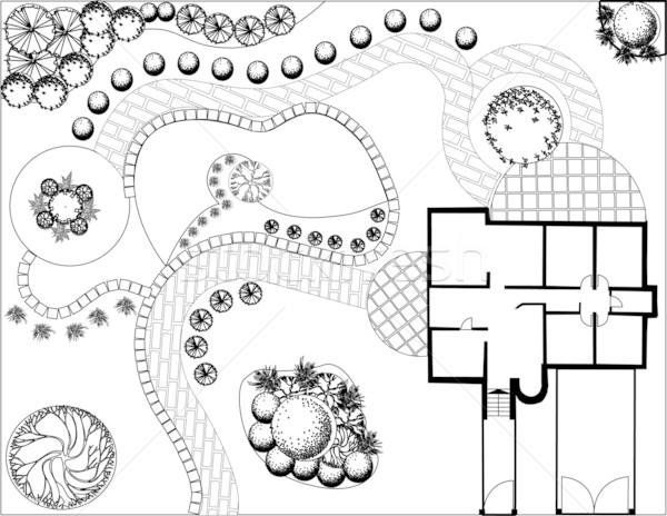 Plan of garden black and white Stock photo © jelen80