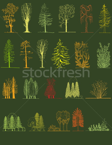 Zestaw drzewo sylwetki architektoniczny drewna Zdjęcia stock © jelen80