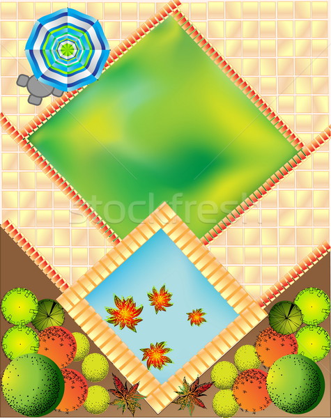 Plan of garden Stock photo © jelen80