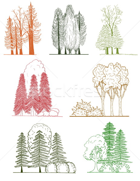 Set Baum Silhouetten architektonisch Gartengestaltung Holz Stock foto © jelen80