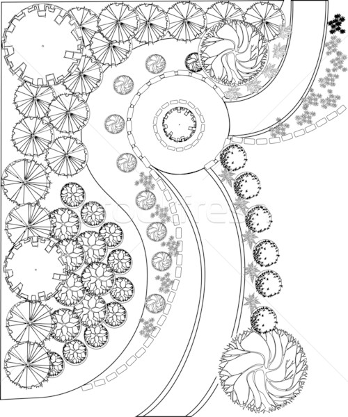 Plan of garden with plant symbols Stock photo © jelen80