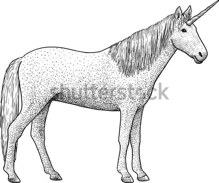 Horse illustration, drawing, engraving, line art, realistic, vector Stock photo © JenesesImre