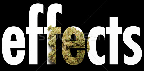 медицинской марихуаны сорняков Гранж подробность аннотация Сток-фото © jeremynathan