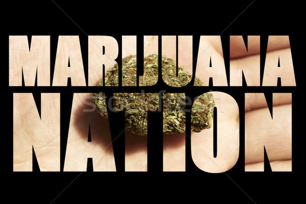 Medische marihuana onkruid grunge detail abstract Stockfoto © jeremynathan