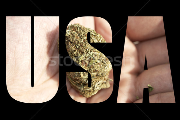 Medical Marijuana  Stock photo © jeremynathan