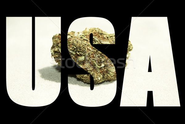 медицинской марихуаны сорняков Гранж подробность аннотация Сток-фото © jeremynathan