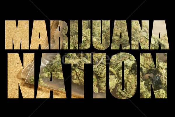 Medical Marijuana  Stock photo © jeremynathan