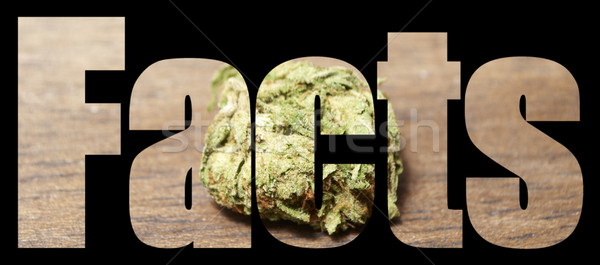 Medical Marijuana  Stock photo © jeremynathan