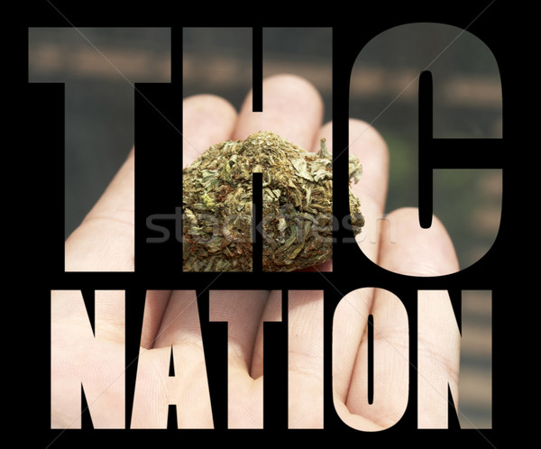 Stock photo: Medical Marijuana 