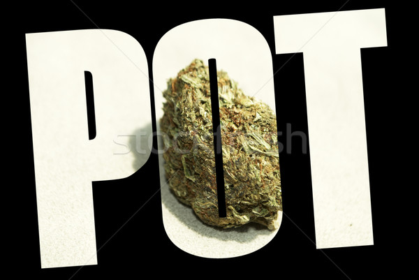 Medical Marijuana  Stock photo © jeremynathan