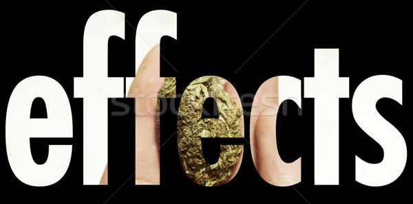 Medical Marijuana  Stock photo © jeremynathan