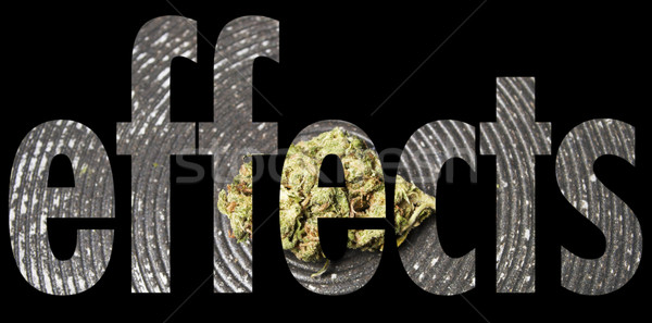 Marijuana, Medical and Recreational Drug Industry in America Stock photo © jeremynathan