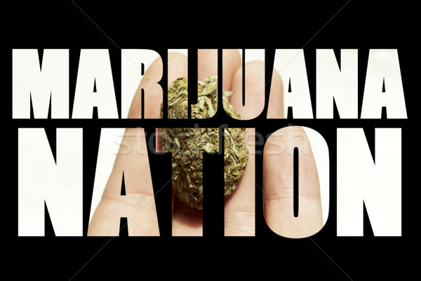 Medical Marijuana  Stock photo © jeremynathan