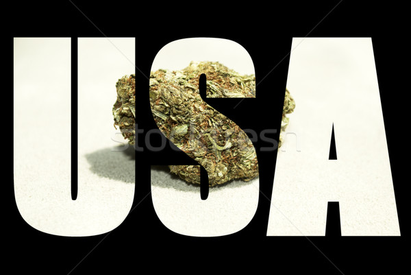 Medical Marijuana  Stock photo © jeremynathan