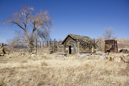 Eski bağbozumu kabin orman orman terkedilmiş Stok fotoğraf © jeremywhat