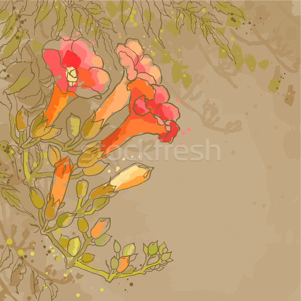 Romântico vetor flor abstrato papel pardo primavera Foto stock © jet