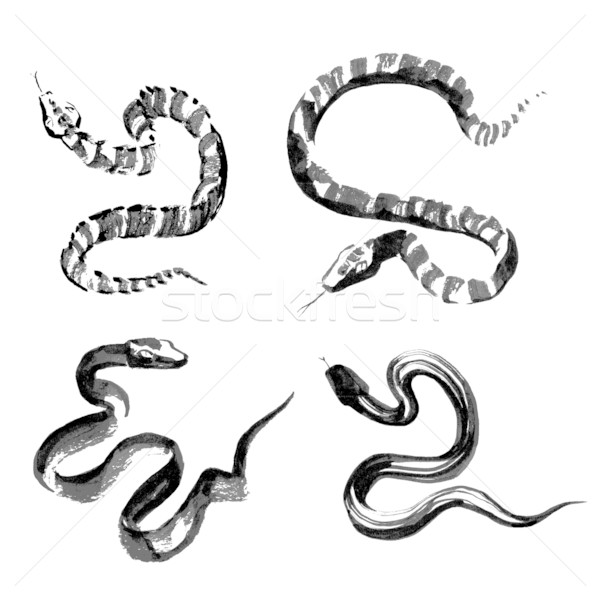 Snakes in traditional Chinese ink painting Stock photo © jet