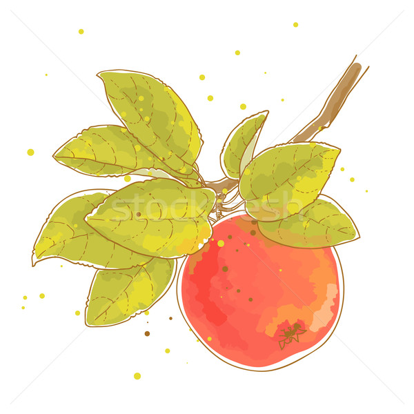 [[stock_photo]]: Pomme · branche · vecteur · pommier · laisse