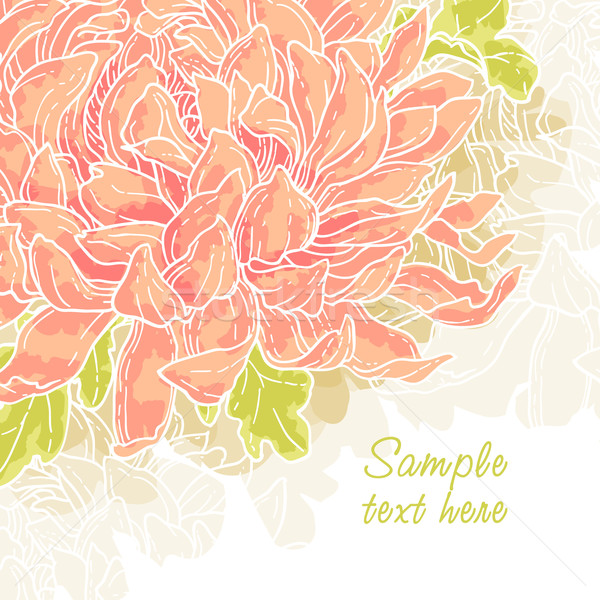 ロマンチックな ベクトル 菊 抽象的な 花 葉 ストックフォト © jet