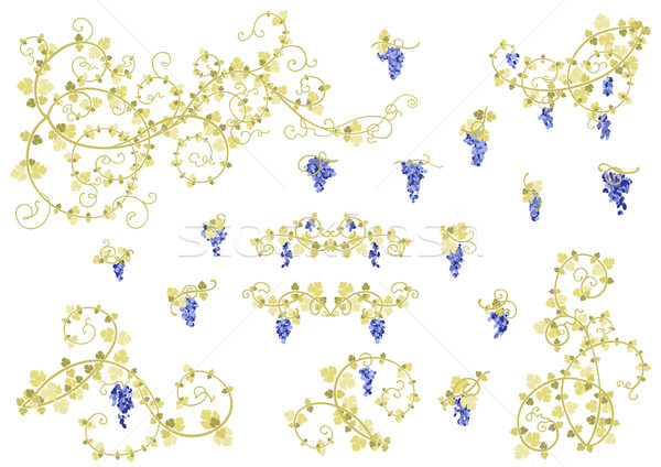 Stylized vine and clusters of grapes in gold and blue colors. Stock photo © jet