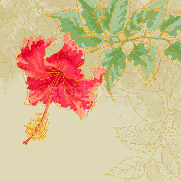 Hibiscus Flower On Toned Background Vector Illustration