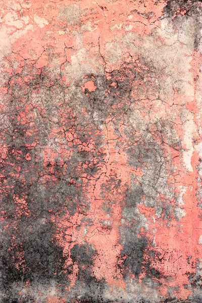 Pink wall texture Stock photo © jet