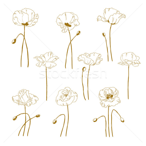 Set of one-colored outlined poppy Stock photo © jet