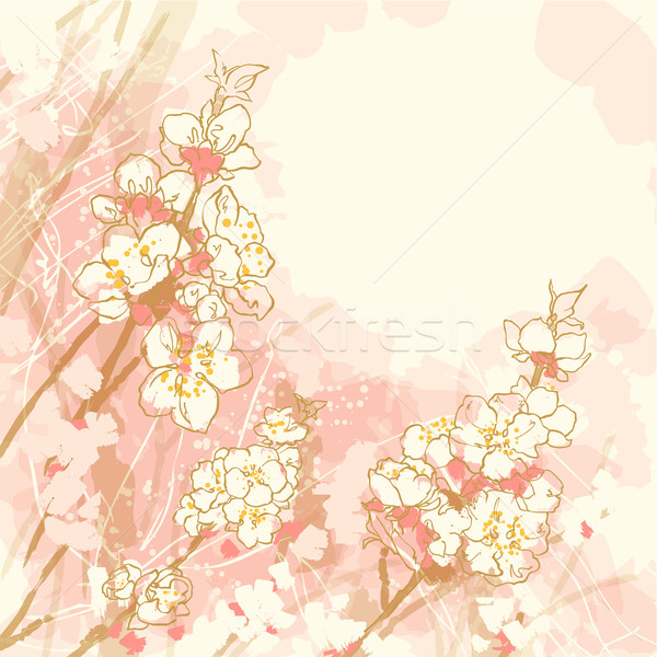 Romântico vetor flor de cereja abstrato textura primavera Foto stock © jet