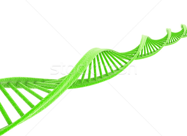 DNA isolated on white  Stock photo © jezper