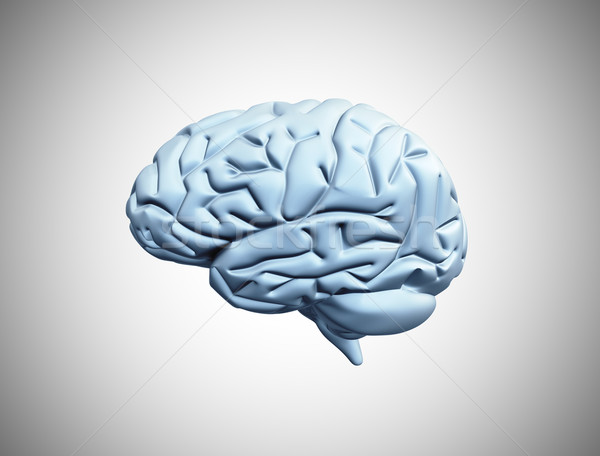 Imagine de stoc: Creierul · uman · ilustrare · 3d · abstract · medical · model · sănătate