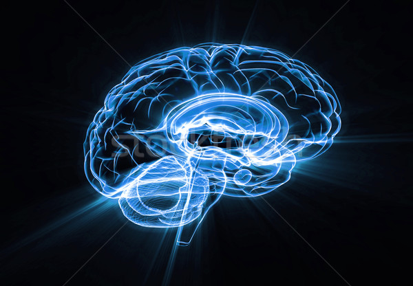 Foto stock: Cérebro · ilustração · raio · x · isolado · tecnologia · medicina