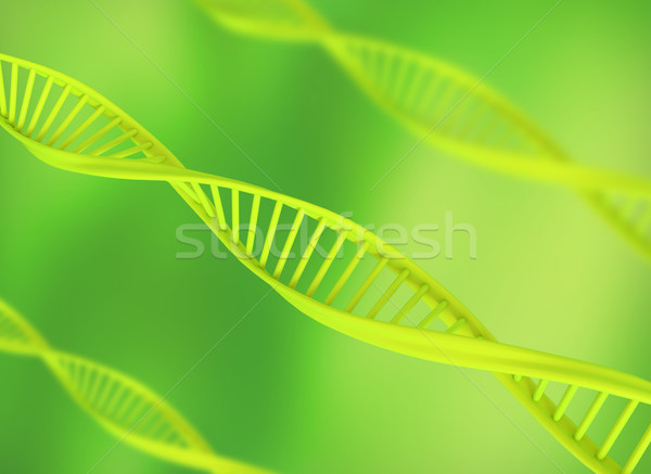 Dna illustratie groene geneeskunde wetenschap leven Stockfoto © jezper