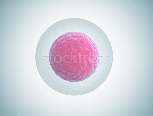 Emberi embrió sejt illusztráció orvosi technológia Stock fotó © jezper
