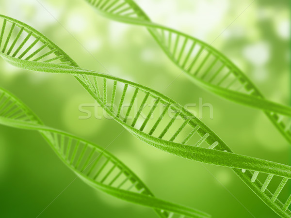 Dna illustrazione verde abstract sfondo medicina Foto d'archivio © jezper