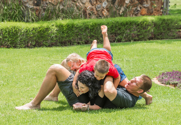 Rodziny gry trawnik całość kobieta domu Zdjęcia stock © JFJacobsz