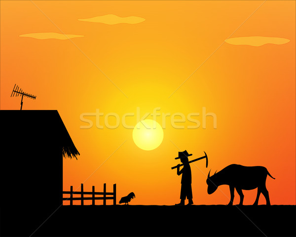 Back to home. Alone life farmer in countryside Stock photo © jiaking1