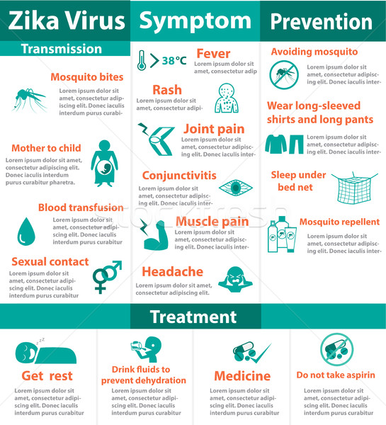 Zika virus infographics ,vector Stock photo © jiaking1