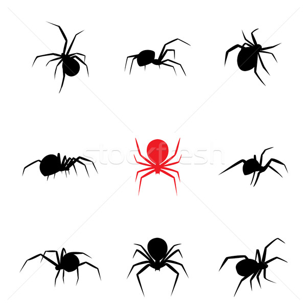 Czarny wdowa pająk sylwetka stylu wektora Zdjęcia stock © jiaking1