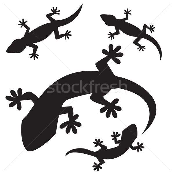 set of lizards silhouettes, isolated on white background Stock photo © jiaking1